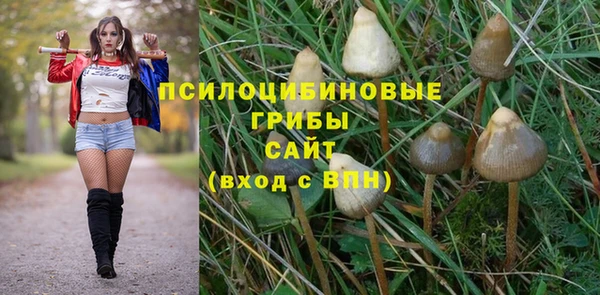 jwh Бородино