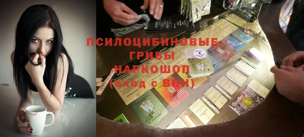 гидропоника Бугульма