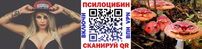 где купить наркоту  Гусев  Галлюциногенные грибы мицелий 